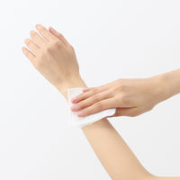 無印良品 虫よけシート 12枚入 1セット（1個×12） 良品計画