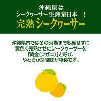 伊藤園 完熟 シークワーサー ソーダ 沖縄県産 410ml ニッポンエール 1セット（48本）