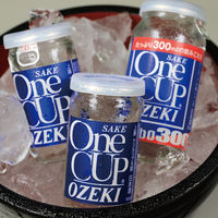 大関 ワンカップ ジャンボ 300ml 1セット（3本）　日本酒