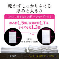 さっぱり感PREMIUMシートパウダーinタイプクリーンソー