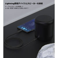 ライトニング オーディオ変換ケーブル 1m Lightning[オス] - 3.5mmオーディオ[オス] ブラック 1個
