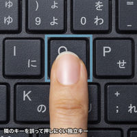 サンワサプライ ワイヤレスキーボード 無線 メンブレン コンパクト フルサイズ ブラック SKB-WL39BK 1個（直送品）