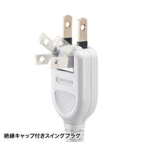 延長コード 電源タップ 3m 2P（ピン） 10個口 スイッチ ホワイト TAP-SP2110N-3W サンワサプライ 1個