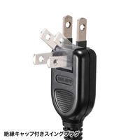 サンワサプライ 雷ガードタップ(10個口・1m・ブラック) TAP-SP2110N-1BK 1個