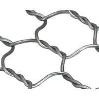 吉田隆 亜鉛メッキ亀甲金網 線径0.7mm(#20)×幅910mm×長さ30m 00956451 1巻