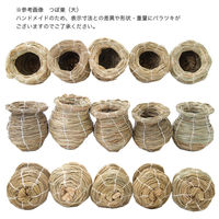 マルカン バードルーム ツボ巣 大 MBー3 189690 1個（直送品）