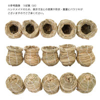 マルカン バードルーム ツボ巣 小 MBー1 189692 1個（直送品）