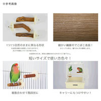 三晃商会 ラタンパーチ 8 234711 1個（直送品）