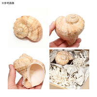 リーフ かざりサンゴ Lサイズ(3個セット)(形状お任せ) 237723 1セット（直送品）