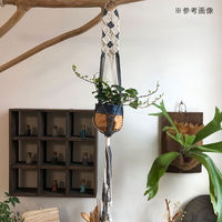 リーフ マクラメプランツハンガー　ミニタペストリー　ＴＷＯフラワー　３号用　イエロー×ホワイト　７８ｃｍ（直送品）