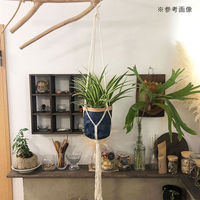 リーフ マクラメプランツハンガー 6号用 ホワイト 120cm 899570 1個（直送品）