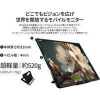 14インチ ワイド モバイルディスプレイ(1920x1200/IPS/miniHDMI/TypeC) JN-MD-IPS1401FHDR（直送品）