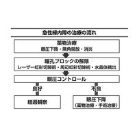 文響社 緑内障 眼科の名医10人が教える最高の克服法大全 1275 1冊（直送品）
