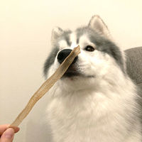 ペティオ ニューグリーン 完全無添加 ダックファイバースティック ロングタイプ 20g ドッグフード 犬 おやつ