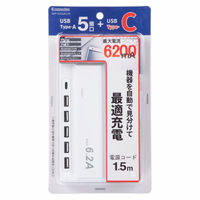 オーム電機 USBチャージャータイプC62E3 00-1229 1個