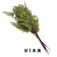 KMA 【造花】ヒバスプレー 大 5本入 049-4241230-5 1セット(5本入)（直送品）