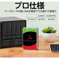 IronWolf NAS HDD 3.5inch SATA 6Gb/s 2TB 5400RPM 256MB 512E ST2000VN003 1個