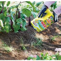 【園芸用品】 フマキラー カダン 除草王 ビネガーキラー 2L 1個