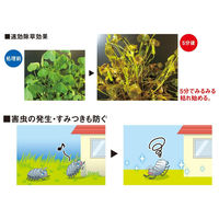 【園芸用品】 フマキラー カダン 虫よけ除草王 2L 1個