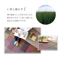 イケヒコ・コーポレーション い草ラグ 抗菌防臭 カラフルブロック 1400×2000mm ブルー 1050140042303 1枚（直送品）