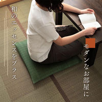 イケヒコ・コーポレーション い草座布団 座布団 大紬 550×550mm ブラック 1132110031905 1セット(2枚入)（直送品）