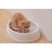 猫砂 クリーンサンド 鉱物タイプ ボタニカルソープの香り 5L 1袋 アイリスオーヤマ