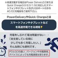 エアージェイ 発火を防ぐPTC TYPE-C to Cケーブル3M UKJ-PCTC 3M 1本