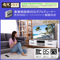 nexxion BEZELLESS（ベゼルレス）50V型4K液晶テレビ FT-K5052S 1台（直送品）