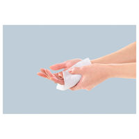 CARE LINKAGE プレミアム&リッチ ノンアルコール除菌ウェットティッシュ 55枚 4525678094848 1セット(1個×20)