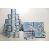 林製紙 (7098)桜ティッシュ40Wボックスティッシュペーパー 313969 1個