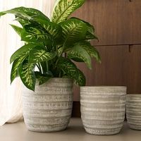 杉田エース D&M depotトライバルポット グレー φ16.5 CWJ956969 1セット(5個)（直送品）