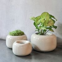 杉田エース D&M depotジャーポット クリーム φ18 CWJ956974 1セット(5個)（直送品）