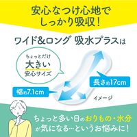 おりものシート サラサーティ コットン100 ワイド＆ロング 吸水プラス 無香料 17cm 1個（34枚） 小林製薬