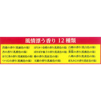 【大容量アソート】 いい湯旅立ち にごり炭酸湯 12種アソート ほんわか日和 1パック（48錠入）医薬部外品 白元アース