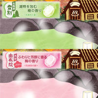 いい湯旅立ち にごり炭酸湯 ぬくもりの宿 4種アソート 1箱（16錠入）医薬部外品 白元アース