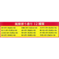 【大容量アソート】 いい湯旅立ち にごり炭酸湯 12種アソート ゆったり日和 1パック（48錠入）医薬部外品 白元アース