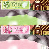 いい湯旅立ち にごり炭酸湯 うるわしの宿 4種アソート 1箱（16錠入）医薬部外品 白元アース