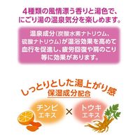 いい湯旅立ち 富士見にごり湯の宿 4種アソート にごり湯タイプ 1箱（12包入）医薬部外品 白元アース