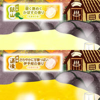 いい湯旅立ち にごり炭酸湯 なつかしの宿 4種アソート 1箱（16錠入）医薬部外品 白元アース