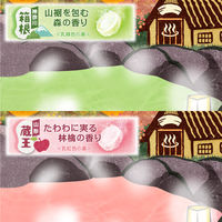 いい湯旅立ち にごり炭酸湯 やすらぎの宿 4種アソート 1箱（16錠入）医薬部外品 白元アース