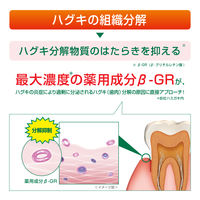 ガム ハグキラボ デンタルペースト メディカルハーブミント < 歯周病予防 高濃度フッ素配合 むし歯 口臭 > 85g