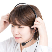 サンワサプライ ガイドシステム用ヘッドセット(オーバーヘッド型) MM-WGS4-HS2 1個（直送品）