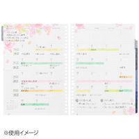 マルマン 【2024年版】リフィル ルーズリーフダイアリー B5 26穴 月間 月曜始まり LD383-24 1冊（直送品）