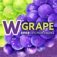 アサヒ飲料 ウィルキンソン タンサン ダブルグレープ 500ml 1箱（24本入）