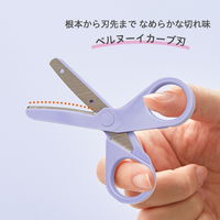 プラス はさみ チームデミ シザーズ ふじ 31446 1個