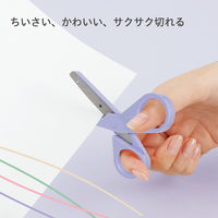 プラス はさみ チームデミ シザーズ ふじ 31446 1セット(5個)