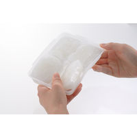 わけわけフリージング ブロックトレー 80 （80ml×4ブロック） 2枚入 離乳食調理 リッチェル