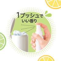 ピジョン ベビー消臭ミスト 50ml