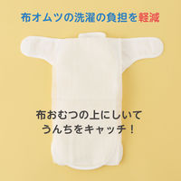 ソフライナー 1個（220枚入り） ピジョン