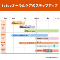 テテオ はじめて歯みがき 仕上げみがき用 しっかり毛先 1個 コンビ